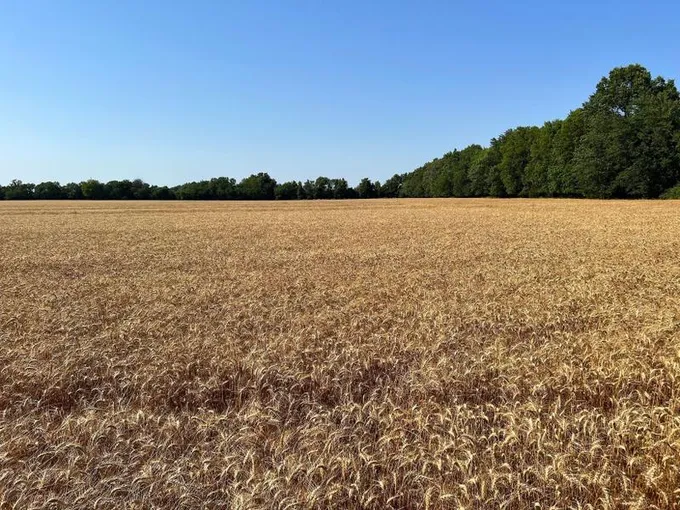 Asbury, Jasper County, MO Farms and Ranches, Undeveloped Land for sale Property ID: 416893704