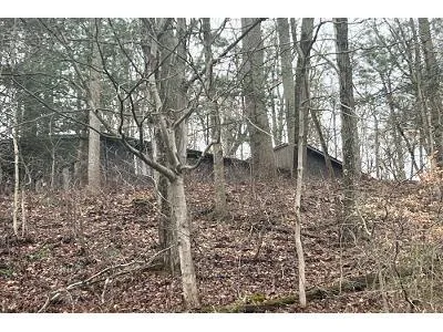 Buena Vista Dr for Sale