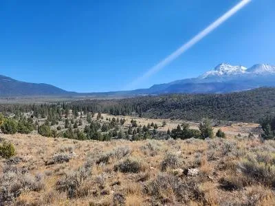30 Hwy 97 for Sale