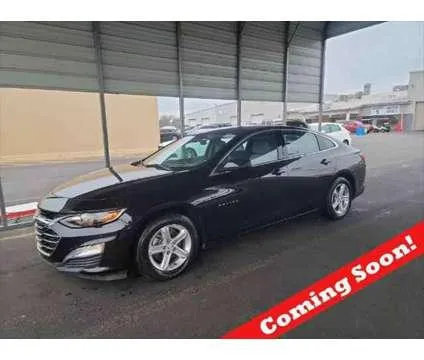 2021 Chevrolet Malibu FWD LS for Sale