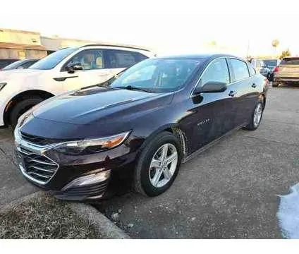 2020 Chevrolet Malibu LS for Sale