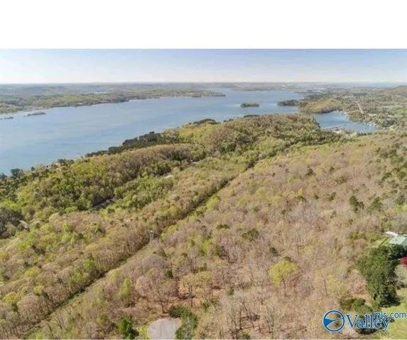 Plot For Sale In Scottsboro, Alabama