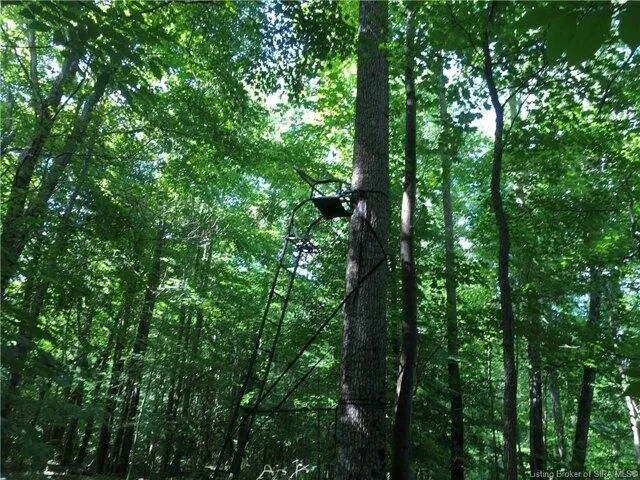 Plot For Sale In Deputy, Indiana