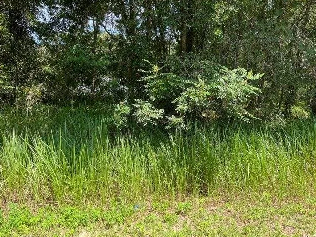 Plot For Sale In Ocala, Florida