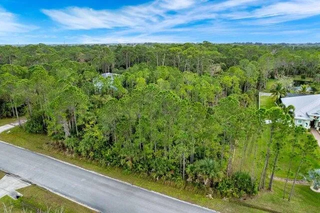 Plot For Sale In Rockledge, Florida