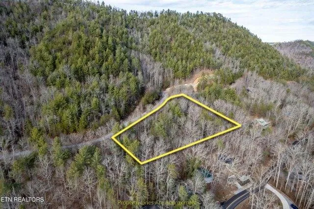 Plot For Sale In Townsend, Tennessee