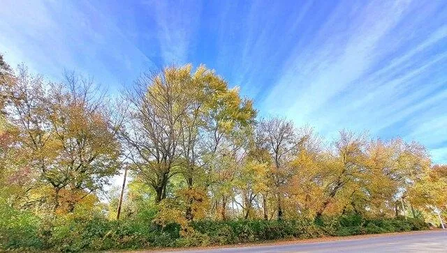 Plot For Sale In Indianapolis, Indiana