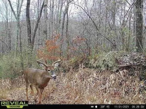 Plot For Sale In New Lexington, Ohio