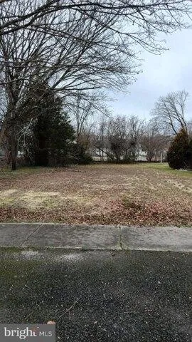 Plot For Sale In Woodbine, New Jersey