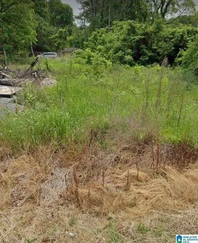 Plot For Sale In Bessemer, Alabama