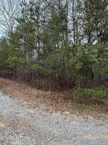 Plot For Sale In Fairfield Glade, Tennessee