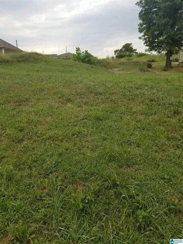 Plot For Sale In Birmingham, Alabama