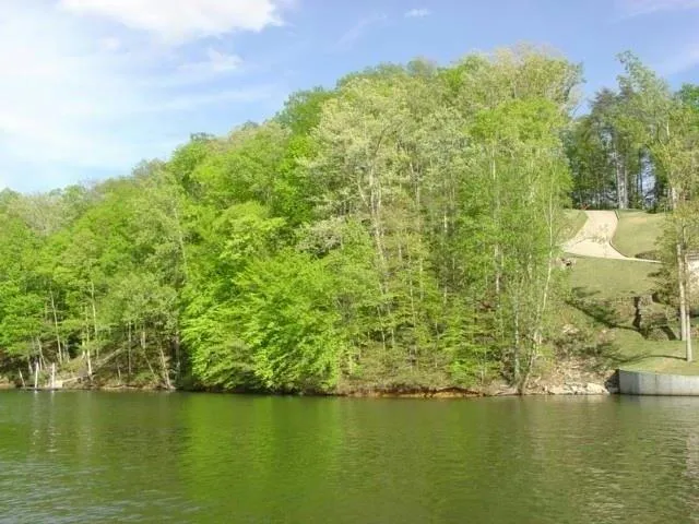 Plot For Sale In Savannah, Tennessee