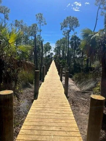 Plot For Sale In Port Saint Joe, Florida