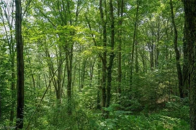 Plot For Sale In Marietta, Ohio