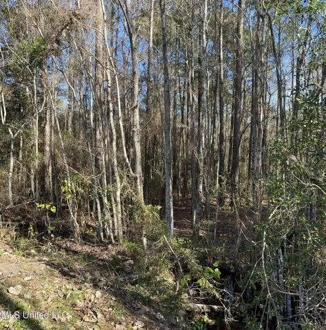 Plot For Sale In Picayune, Mississippi