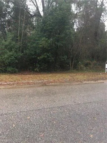 Plot For Sale In Satsuma, Alabama