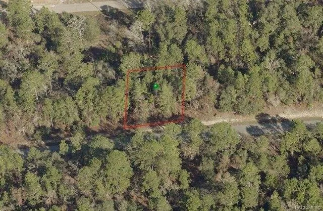 Plot For Sale In Citrus Springs, Florida