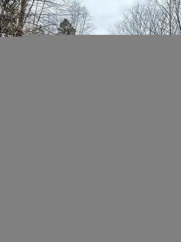 Plot For Sale In Tazewell, Tennessee