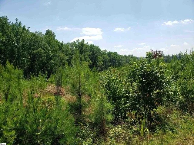 Plot For Sale In Chesnee, South Carolina