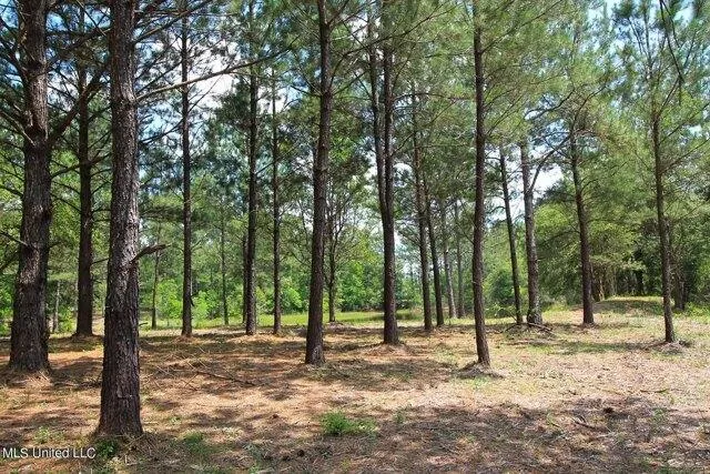 Plot For Sale In Lucedale, Mississippi