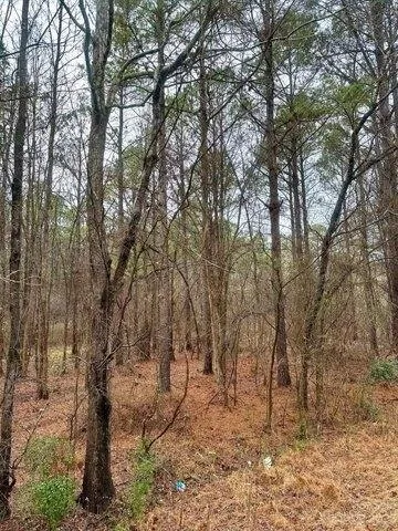 Plot For Sale In Chester, South Carolina