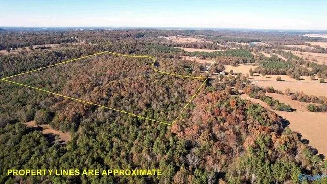 Plot For Sale In Town Creek, Alabama