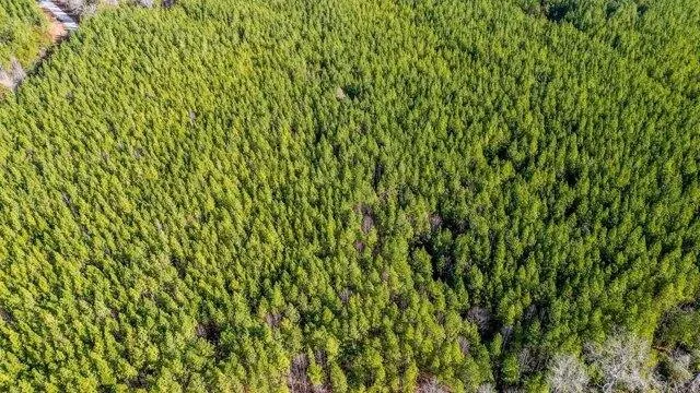 Plot For Sale In Chase City, Virginia