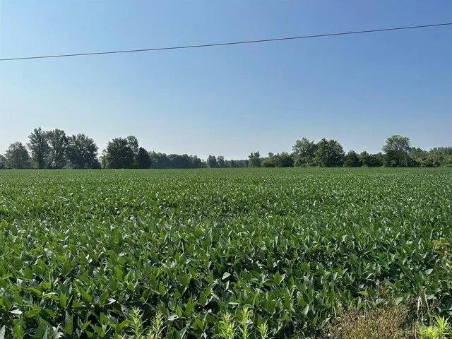 Plot For Sale In Winchester, Ohio
