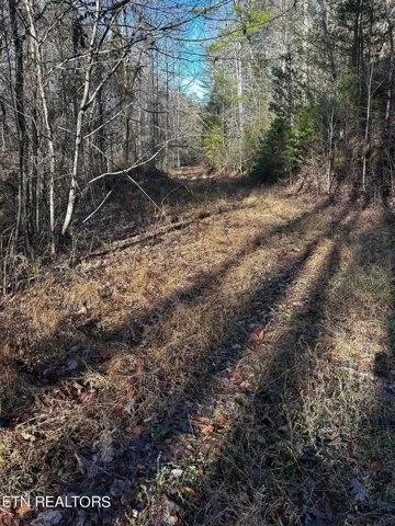 Plot For Sale In Vonore, Tennessee