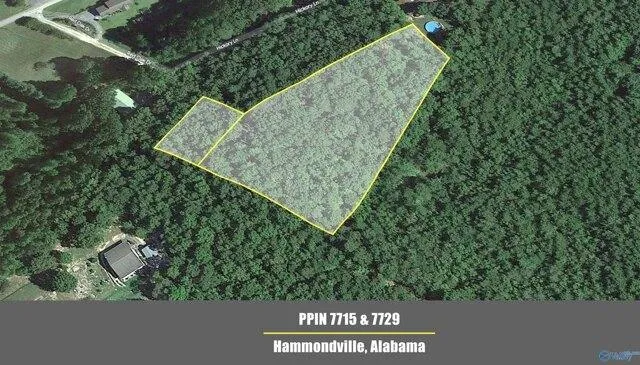 Plot For Sale In Hammondville, Alabama