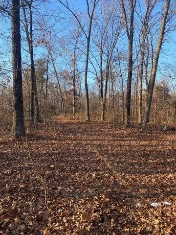 Plot For Sale In Mannington, Kentucky