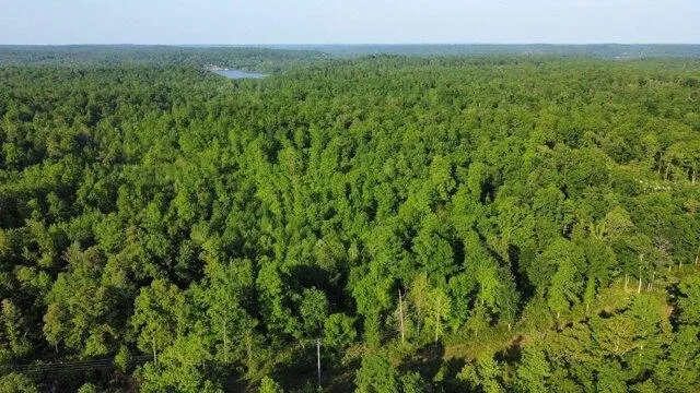Plot For Sale In Parsons, Tennessee