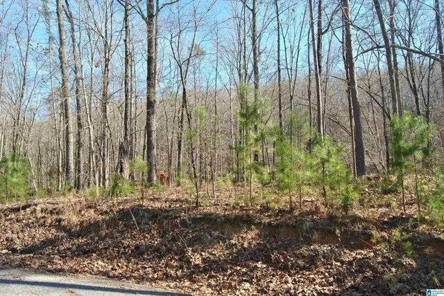 Plot For Sale In Ashville, Alabama