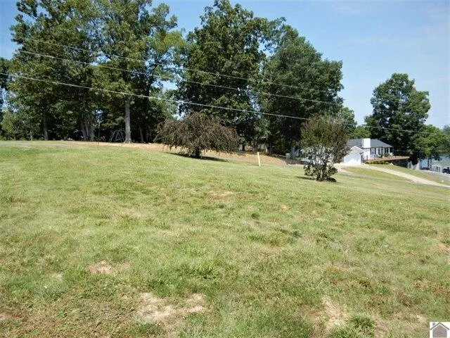 Plot For Sale In Gilbertsville, Kentucky