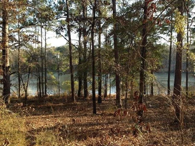 Plot For Sale In Fort Gaines, Georgia