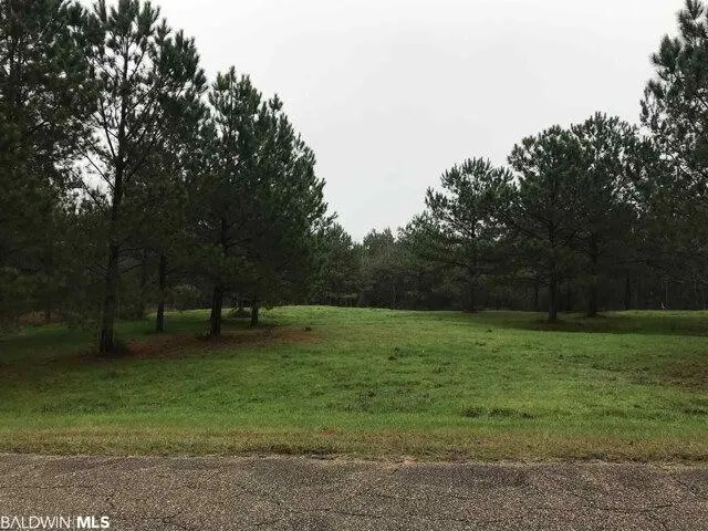Plot For Sale In Camden, Alabama