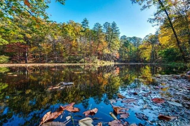 Plot For Sale In Rockmart, Georgia