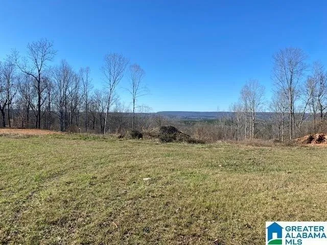 Plot For Sale In Springville, Alabama