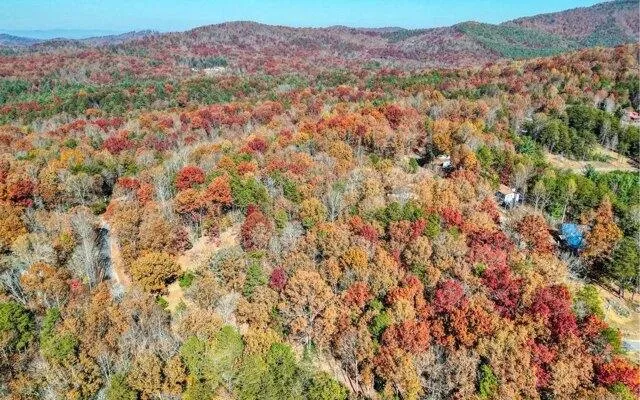 Plot For Sale In Blairsville, Georgia