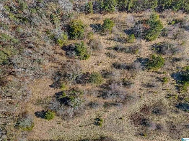 Plot For Sale In Clanton, Alabama