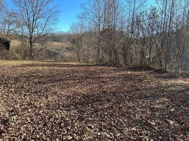 Plot For Sale In Swords Creek, Virginia