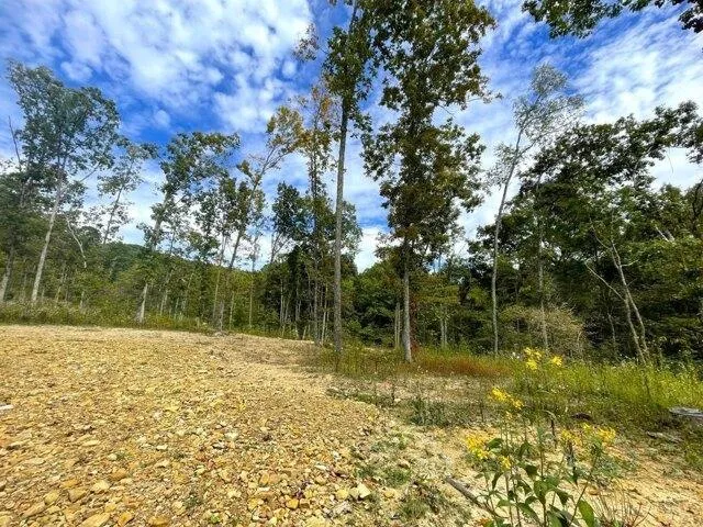 Plot For Sale In Meigs Township, Ohio