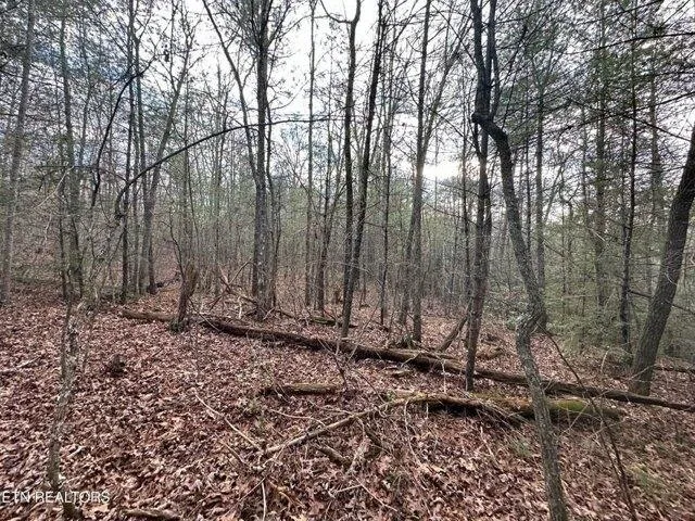 Plot For Sale In Deer Lodge, Tennessee
