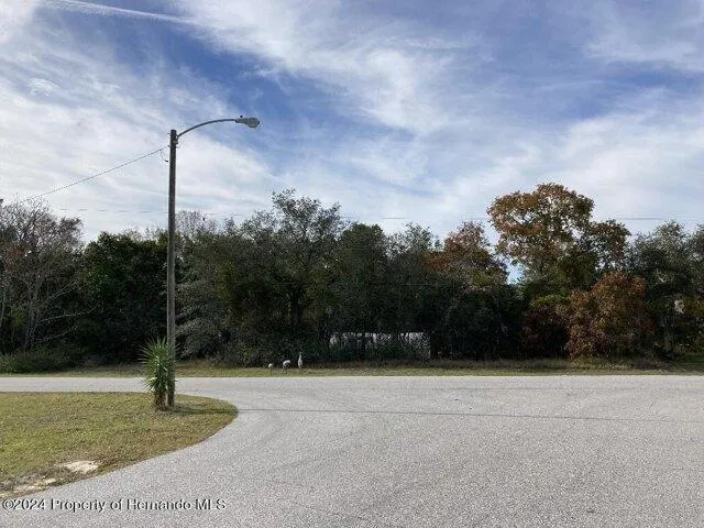 Plot For Sale In Springhill, Florida