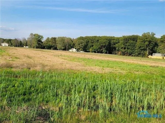 Plot For Sale In Holland, Ohio