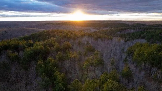 Plot For Sale In Holladay, Tennessee