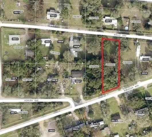 Plot For Sale In Paisley, Florida