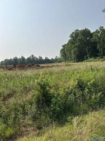 Plot For Sale In Elkmont, Alabama