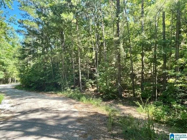 Plot For Sale In Wedowee, Alabama